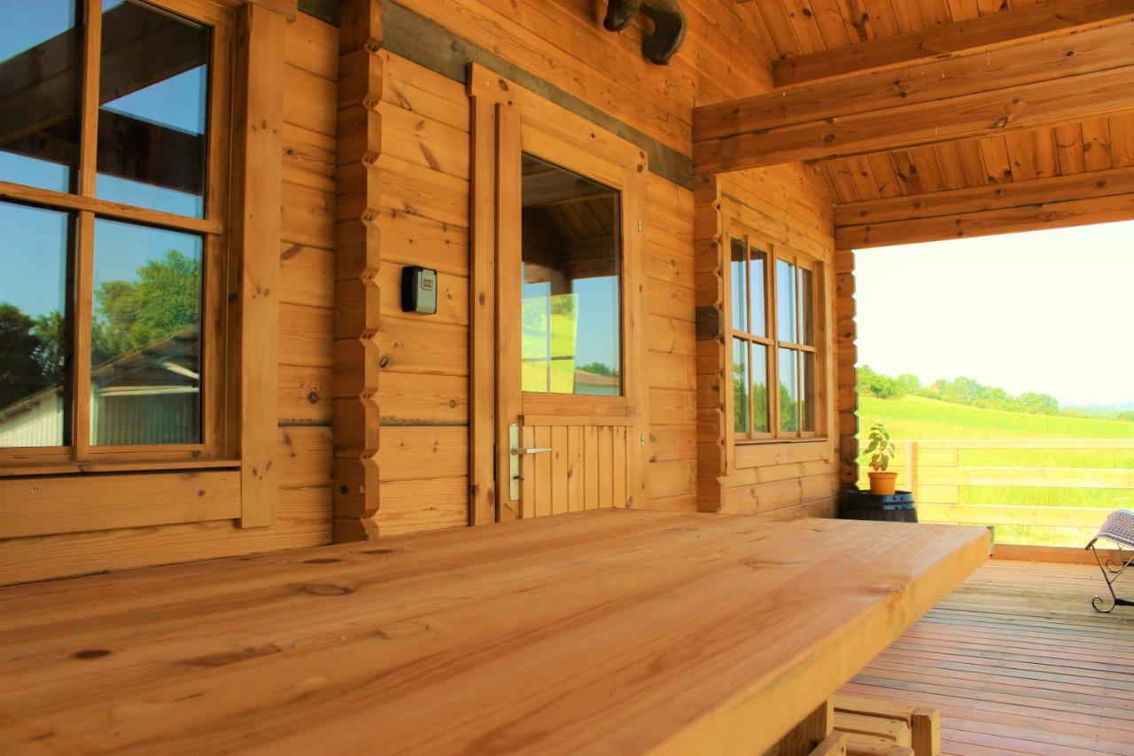 Chalet Pyreneen Saint-Ybars Exterior photo